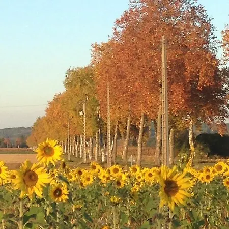 Aou Carde アパート Lagarde-Hachan