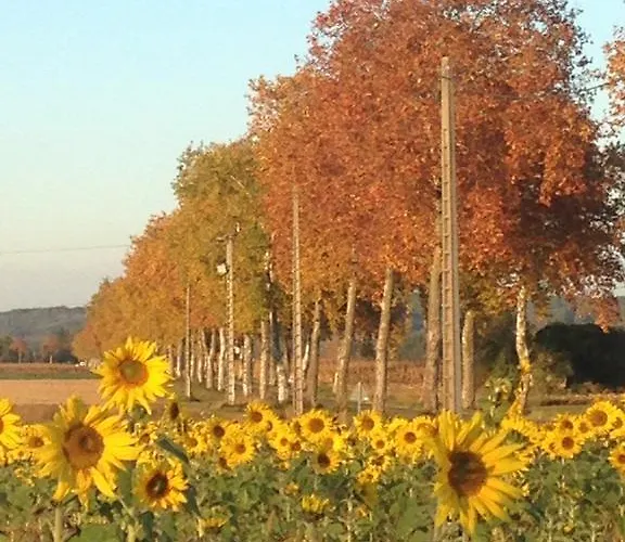 Aou Carde Daire Lagarde-Hachan