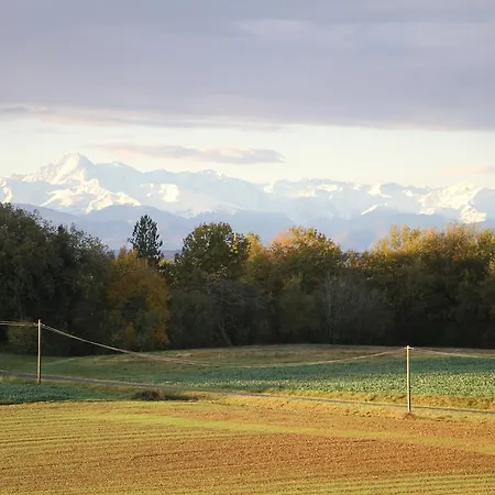 Aou Carde * Lagarde-Hachan